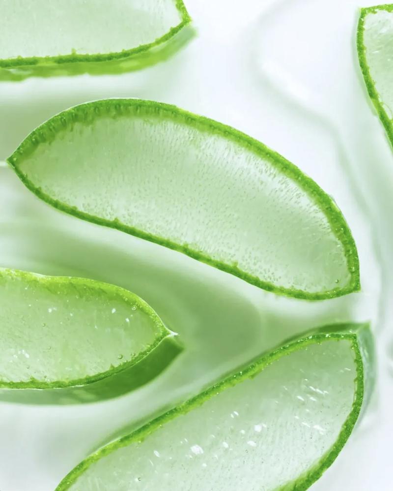 Aloe vera – přírodní složka péče Mynat